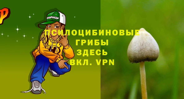 стафф Богородицк