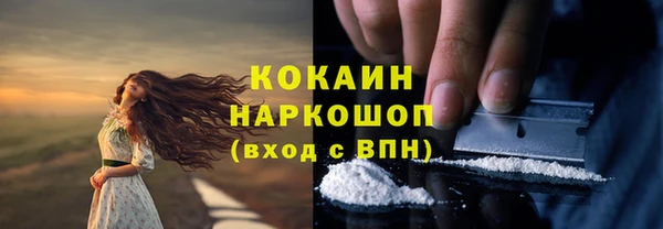 стафф Богородицк