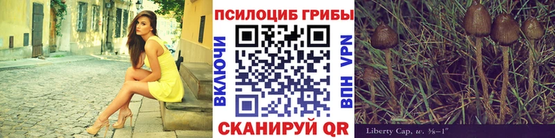 Купить закладки  Весьегонск  Псилоцибиновые грибы Cubensis 